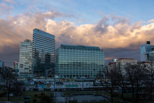 Punaise de lit à Toulouse : solutions rapides et efficaces